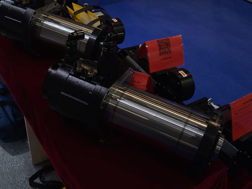 King Charles Cavalier